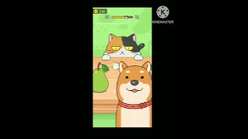 Hide and seek cat escape #5