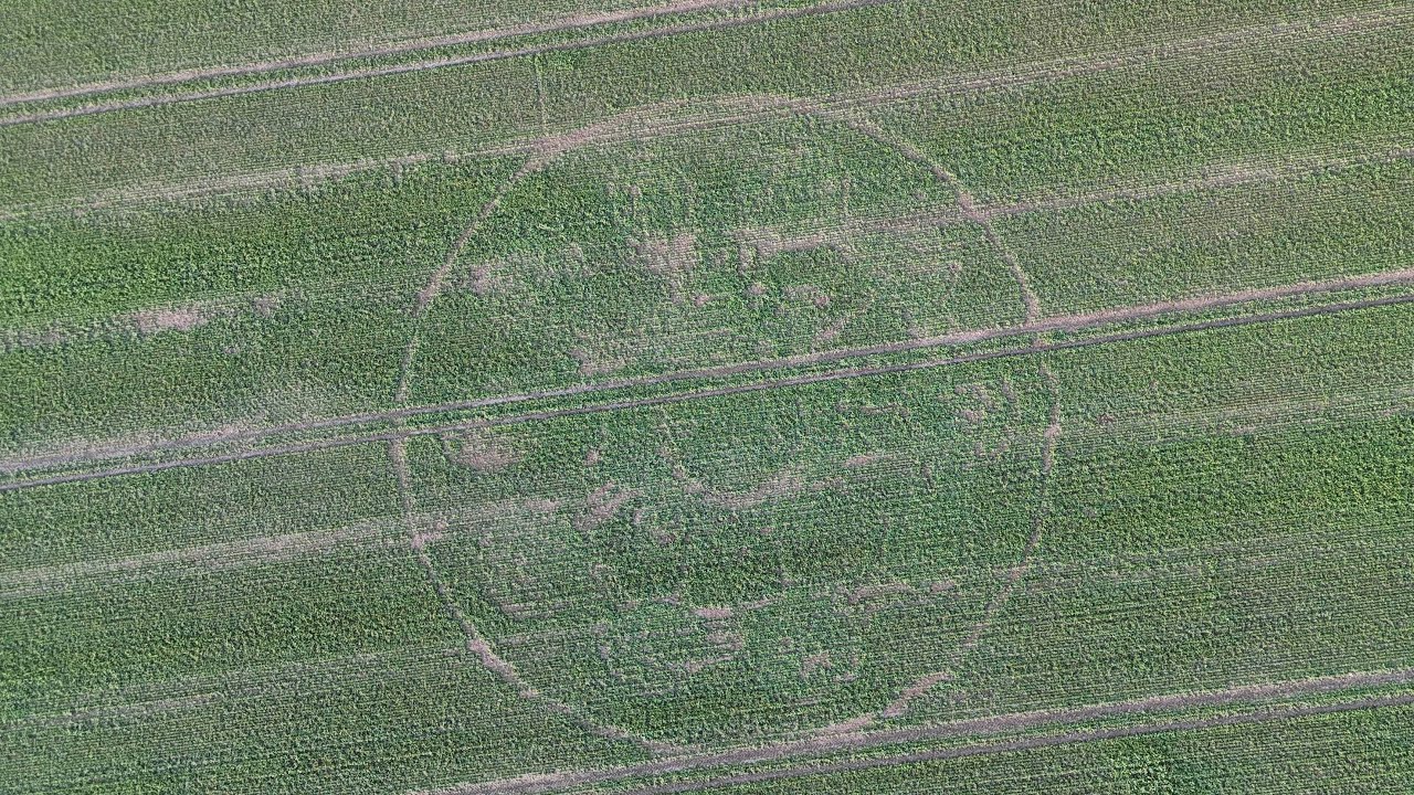 Avebury Ghost Crop Circle. 216 days old. 