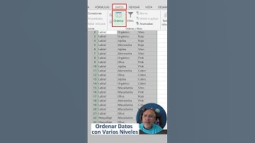 ordenar datos en excel