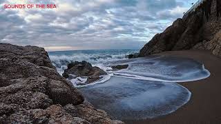 Tranquil Tide Symphony: Ocean Currents and Swaying Seaweed at Sunset