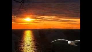 Emad Ram - Dele Man Yek Rouz Beh Darya Zado Raft عماد رام دل من یک روز به دریا زد و رفت