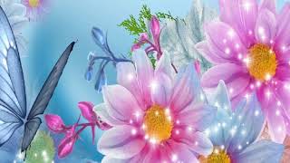 PACIFIC SUN – Nicolai Heidlas   ♫ No Copyright Music