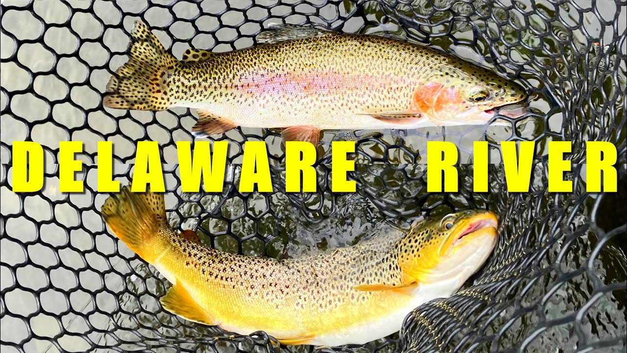 Spin Fishing the Upper Delaware River