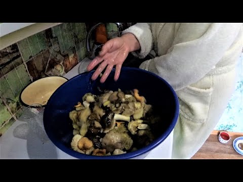 Video: Mushroom caviar los ntawm boiled nceb