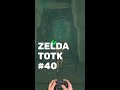Zelda TOTK Walkthrough Part 40 (Switch 2) #zelda #totk #zeldatotk #rauru #link