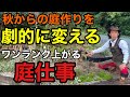 【ズボラさんでもできる】枯れてる庭が劇的に変わります 【園芸超人カーメン君】【ガーデニング】【初心者】