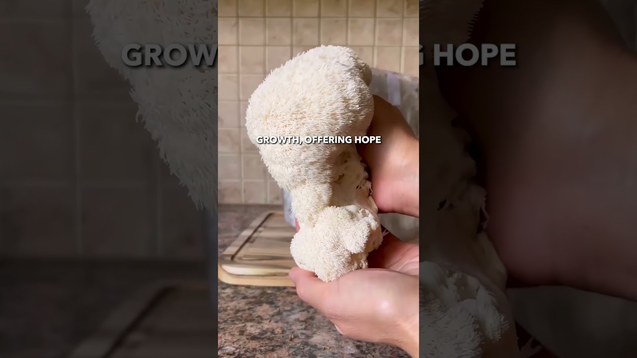 Humans & Mushrooms Are Closely Related 