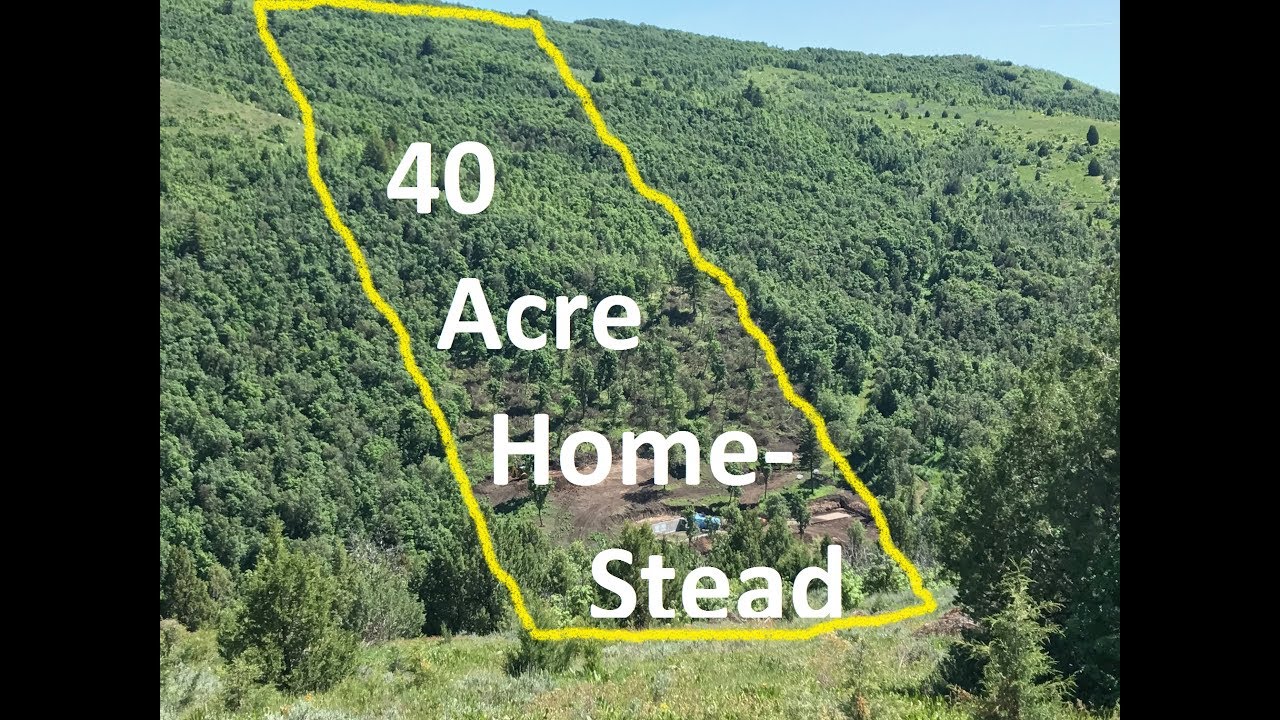 How Large Is 40 Acres