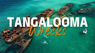 One of the BEST SNORKELING destinations in AUSTRALIA | Moreton Island | Tangalooma Wrecks