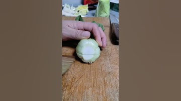 RT 898777 mini rotary tillage and ridging all-in one tree 🌲 short view #rogator #rotarymower