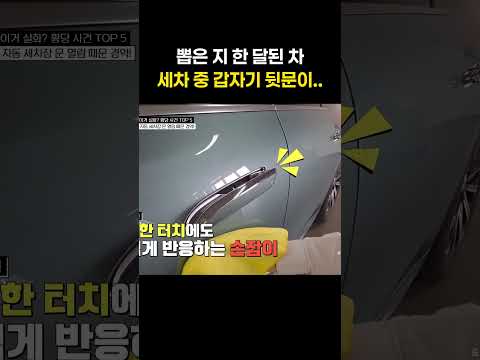 한 달 된 <strong>새차</strong>.. 세차 중에 갑자기 뒷문이 벌컥..?! #shorts #한블리