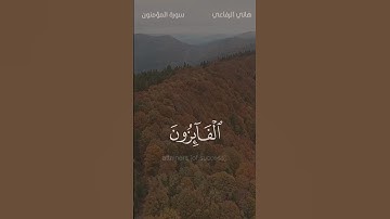 تلاوة مباركة من سورة المؤمنون للشيخ هاني الرفاعي ( رائعة )