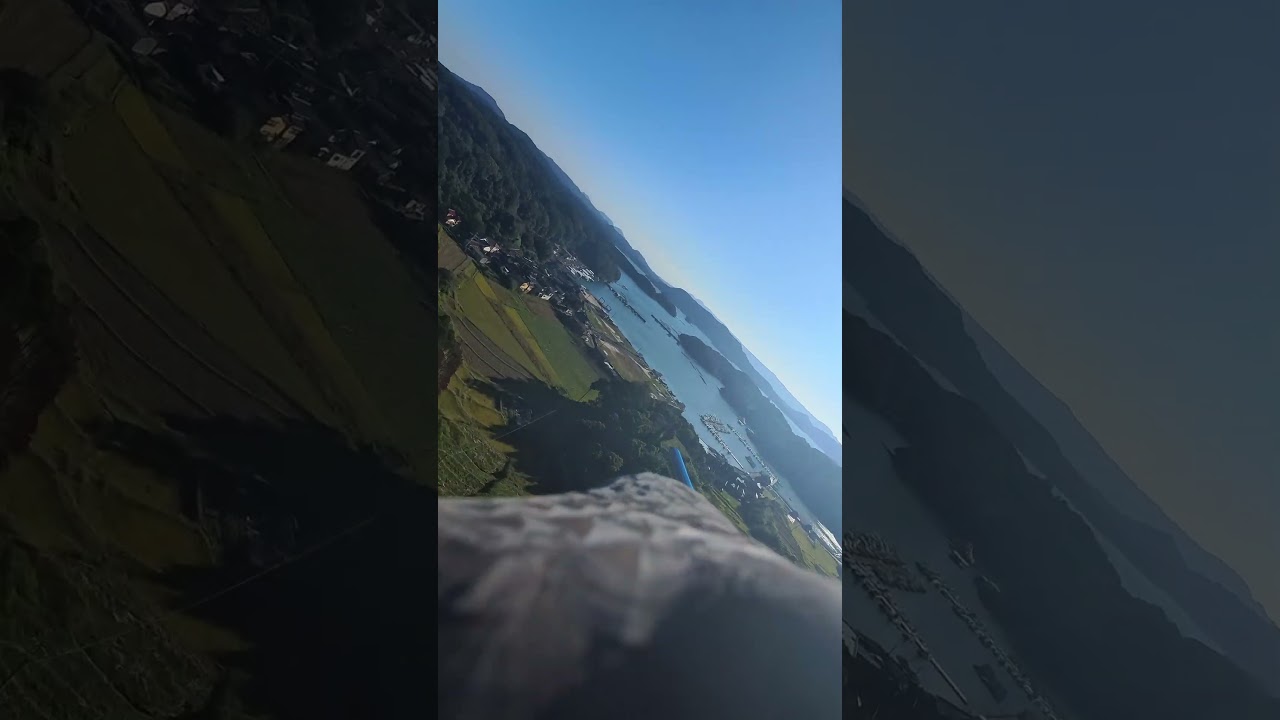 鷹を見晴らし台の山から放してみました　雄大な景色が伊万里湾が見えて漁港に舞い降ります