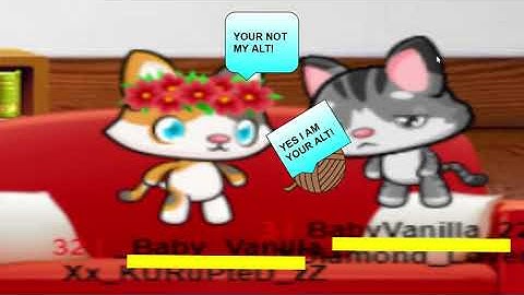 Meow Playground Laughs