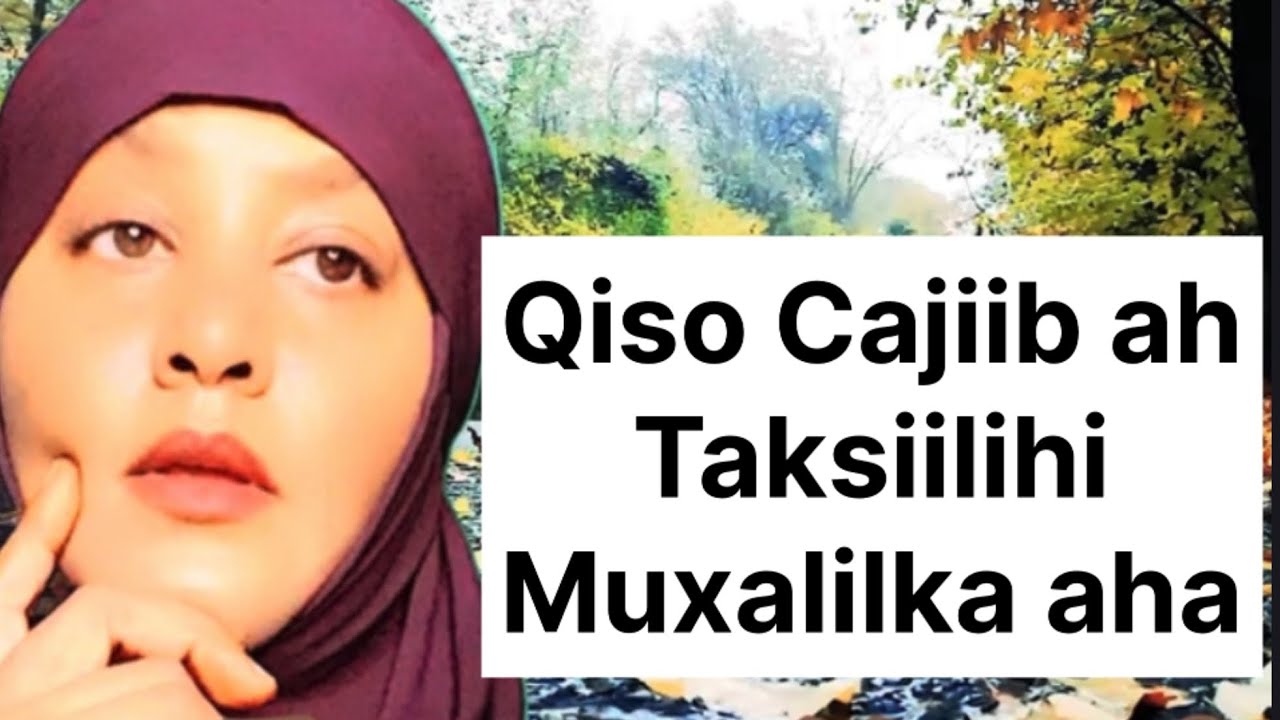 Qiso Cajiib ah Taksiilihi Muxalilka aha 😡😱egypt🇪🇬