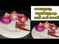        onion recipe  onion chutney  ulli chammanthi