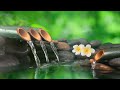 24 hour relaxing music  healing music meditation music spa music sleep meditation study music