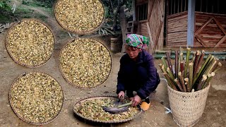 A woman ventures into the wilderness in search of life-sustaining herbs - Ly Tieu An