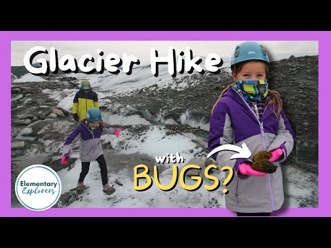 Glacier Trekking With Kids - Matanuska Glacier Park - Matanuska Glacier - Glacier Moss - Sutton, AK