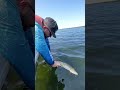 Disrespecting the sport doesn’t make you a fisherman, it makes you an embarrassment. #fishing