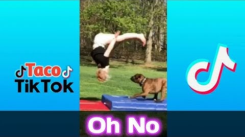 Oh No! Tik Tok - Funny Animals Compilation