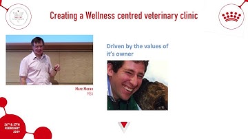 How to create a wellness centred veterinary clinic