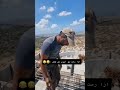 لما تروح على الشغل مع ابوك لما تروح على الشغل مع ابوك