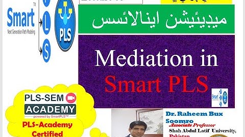 SmartPLS-SEM: Lecture 08 Mediation Analysis (سنڌي ٻولي ۾)