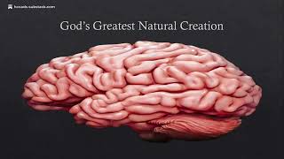 The Enemy's Programming Strategy How Satan Programs Your Mind 🚨