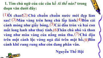 Lớp 4_Tuần 22_ LTVC_ Bài: Chủ ngữ trong câu kể Ai thế nào