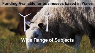 IBERS Distance Learning RWIF Promo