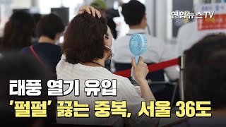태풍 열기 유입…'펄펄' 끓는 중복, 서울 36도 / …