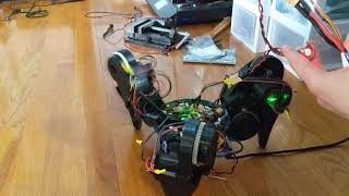 Dynamic Hexapod Standing Test