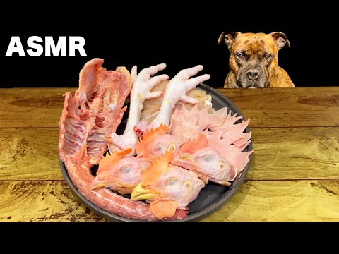 【大食い犬ASMR】新鮮な鶏を勢いよく爆食いする愛犬 MUKBANG Dog eats raw meat bones