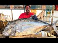 Kasimedu  mr vadivelu  biggest trevally fish cutting  in kasimedu  ff cutting 