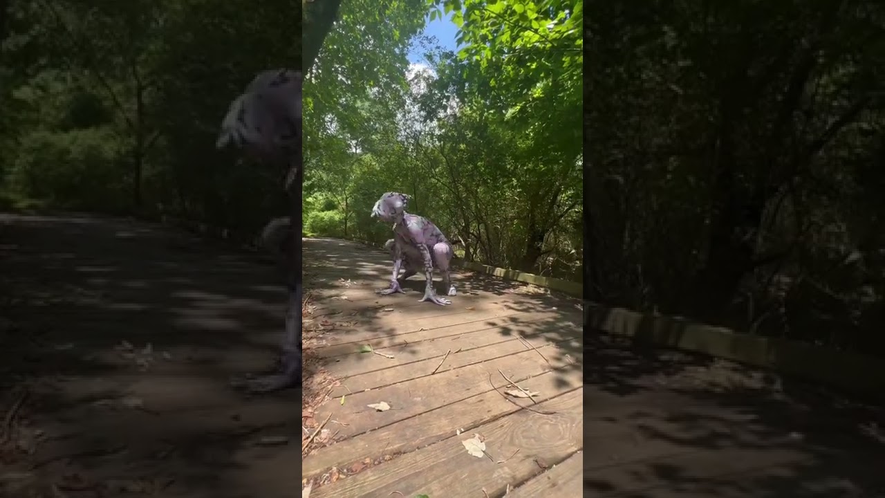 Unknown Creature in the Woods.   