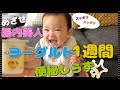 【赤ちゃんの離乳食】ヨーグルト1週間　便秘予防　生後9ヶ月　みはるんchannel
