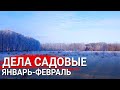 Садовые заботы в январе и феврале