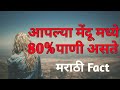 Marathi factsamazing marathi factsfact marathi 30 marathi facts maharashtra