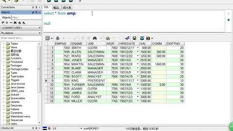 Java Web进阶 Oracle 18 null值判断