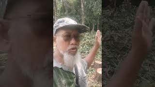 Kegiatan Menebas Lahan Perumahan Masa Depan. #shorts