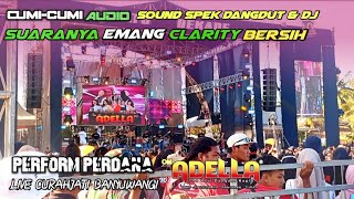 om ADELLA feat Cumi-cumi Audio || live perform perdana || PCB Pemuda Curahjati Bersatu