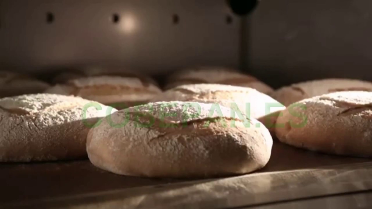 HORNO GIRATORIO MODELO G.A. (leña) - Hornos Saturnino