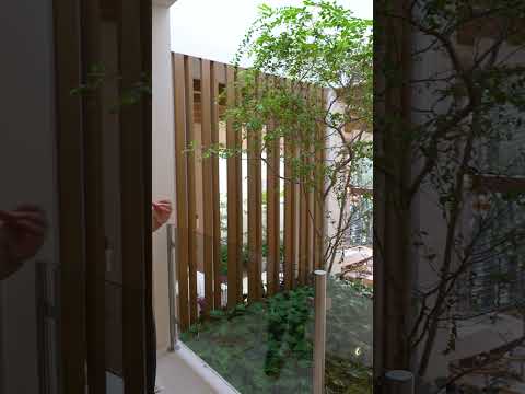 El árbol es el corazón de la casa #ViviendaBúfalo #Arquitectura #ArquitecturaMexicana