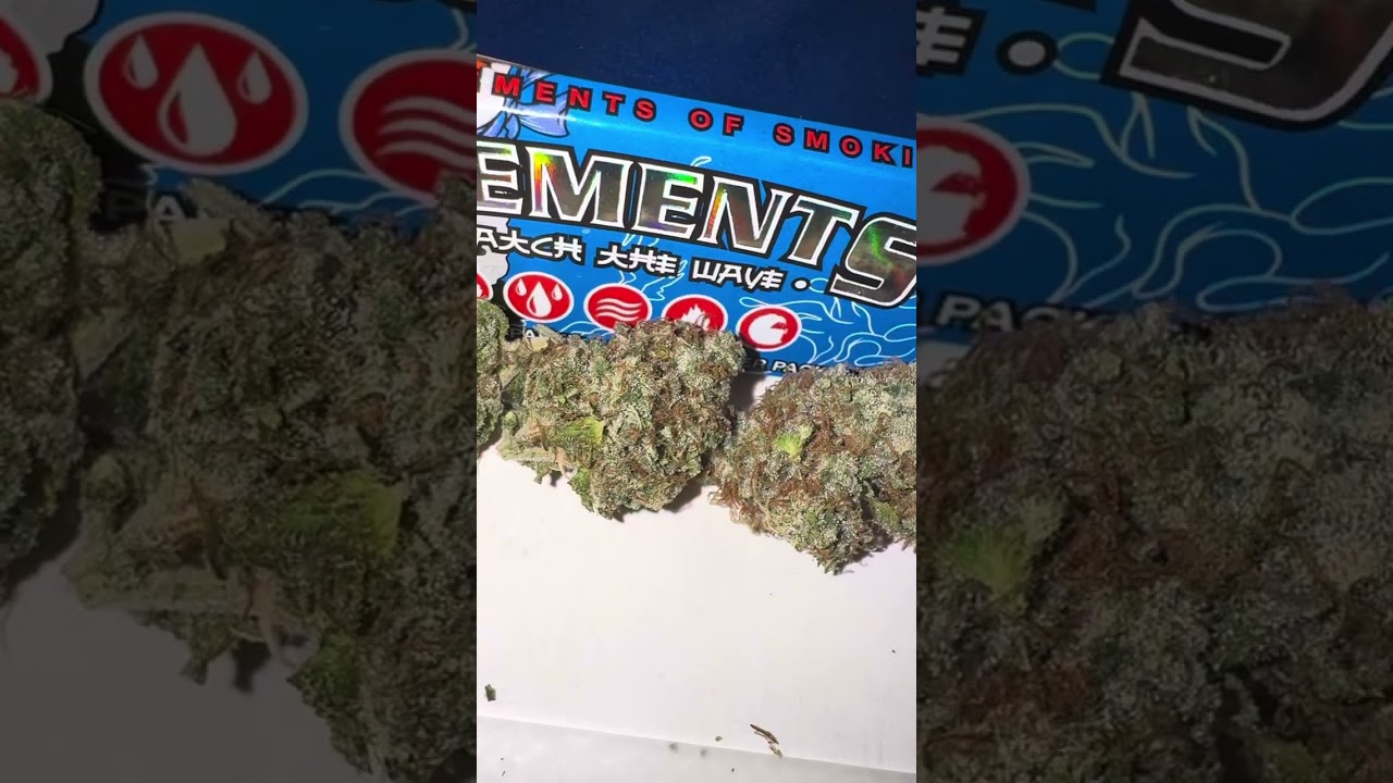 TERPY TIME TASTE BUDS - NEW DROP !!!! - ZUSHI COLLAB !!!! 