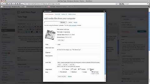 How to Work with Wordprss Pages by Top Blog Formula