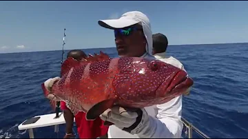 Диалоги о рыбалке. Мадагаскар. Океан 2 (HD)
