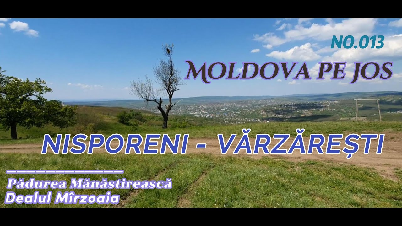 Moldova pe jos Nisporeni-Vărzărești #013