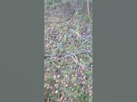 Ужик... - YouTube