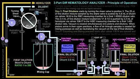 3-Part Differential HEMATOLOGY ANALYZER – Principle of Operation: Final Dilutions ANIMATION